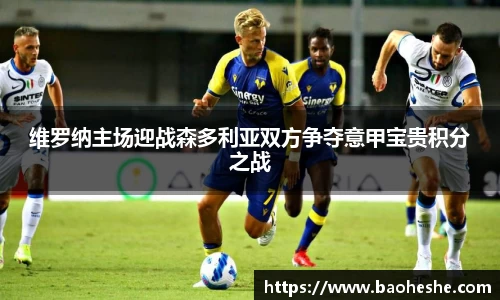 N江南.体育